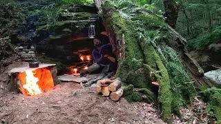 7 Days Solo Survival Camping In Rain Forest, Bushcraft Shelter in The Tree Trunk & Stone Fireplace