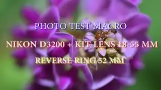 Photo Test Macro NIKON D3200 Kit Lens 18 55 mm + Reverse Ring 52 mm