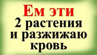 Ем эти 2 растения – и разжижаю кровь: вот зачем на огороде нужны петрушка и сельдерей. Рецепты