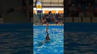 Girl vs Dolphin 😱 Mind blowing art #viralvideo #art  #artist