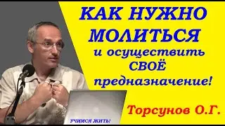 Торсунов О.Г. Как нужно молиться и осуществить своё предназначение. Учимся жить.