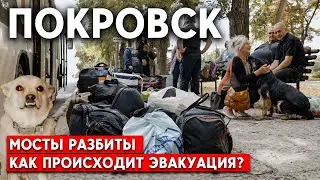 Выездов из Покровска все меньше. Как проходит эвакуация?