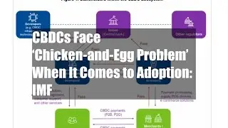 CBDCs Face ‘Chicken-and-Egg Problem’ When It Comes to Adoption: