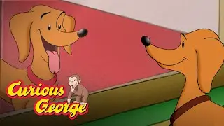 Two Hundleys? 🐵 Curious George 🐵Kids Cartoon 🐵 Kids Movies 🐵Videos for Kids