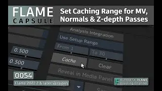 Flame Capsule 054 - Set Caching Range for Motion Vectors, Normals and Z-depth Maps  - Flame 2022.2