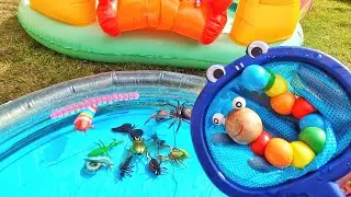 Catching Bugs Toys in a Net | Learn Bugs Insects Names: Centipede Snail Dragonfly