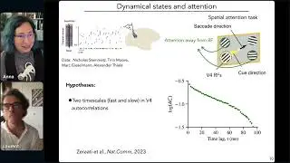 Anna Levina - Timescales: flexible in biological neural systems, useful for computations