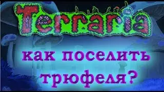 Как поселить трюфеля в Террарии.