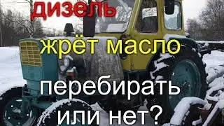 ТРАКТОР ЮМЗ 6,МТЗ 82//ДВИГАТЕЛЬ ЖРЁТ МАСЛО//ЧТО ДЕЛАТЬ?