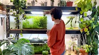 Aquarium Tour 2021 | how i plant my aquariums