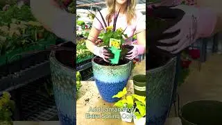 DIY Pollinator-Friendly Container Garden 