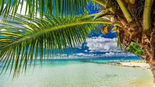 Bossa Nova: Tropical Beach Ambience with Seaside Cafe Jazz  & Ocean Waves Sounds for Stress Relief