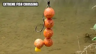 Tried Carp Fishing with Chained Boilies!