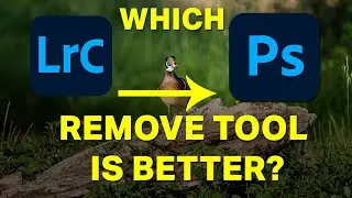 REMOVE TOOL - Lightroom Classic vs Photoshop - What should you use?