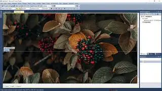 How to add background image in C# in Microsoft Visual Studio | Web development project