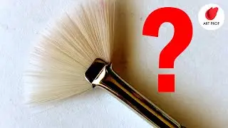 Are Fan Brushes the Worst Brush Ever?