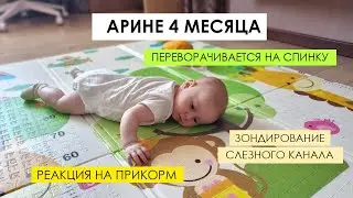 Будни с 4х месячной Ариной. Новые умелки. Реакция на прикорм. Зондирование слезного канала.