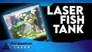 How To: Build An Acrylic Fish Tank