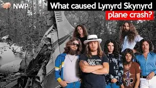 The Tragic End of Lynyrd Skynyrd and What Caused Their Plane Crash