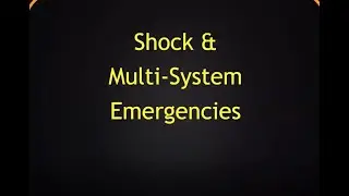 Boswell CEN Review Video - Shock Emergencies