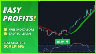 I Tried The Most Profitable Buy Sell Strategy and Got Big Profits! (Easy To Learn & High Win Rate)