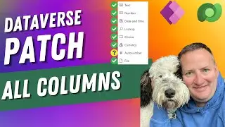 Patch Dataverse Columns with Power Apps