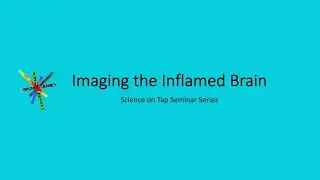 Imaging the Inflamed Brain