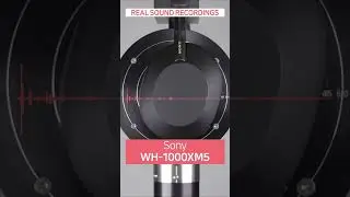 【REAL SOUND】 Sony WH-1000XM5 🆚 WH-1000XM4