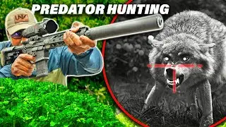 HUNTING COYOTES with ULTRA CLEAR THERMAL optics (RH50v2)