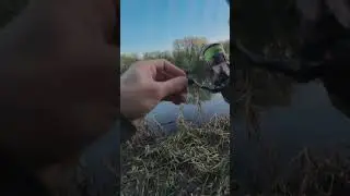 Голавль на микроджиг | Лучшая приманка для ранней весны #fishing #спиннинг #рыбалка #джиг #голавль