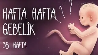 Hafta Hafta Gebelik 35. hafta