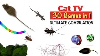 CATS TV - ULTIMATE Games Compilation for CATS & DOGS 😹 30 in 1 cat games mix (3 HOURS)