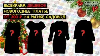 НОВИНКИ САДОВОДА / Выбираем ДЕШЕВОЕ НОВОГОДНЕЕ ПЛАТЬЕ от 300 ₽ | Маша Копытина [sadovodopt]