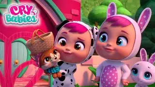 The Best Pet 🦊 CRY BABIES Full Episodes Magic Tears | Kitoons Cartoons for Kids