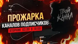 Бесплатная ОЦЕНКА ЮТУБ КАНАЛОВ подписчиков от Prodvigate!