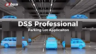 Dahua DSS Professional - Parking Lot Applicaiton