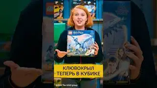 Самая подвижная модель серии LEGO® Harry Potter™. Новинка «Клювокрыл» уже ждет вас в «Мире Кубиков».