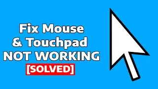 How to Fix Mouse/Touchpad Not Working On Windows 11/10 Laptop or Desktop