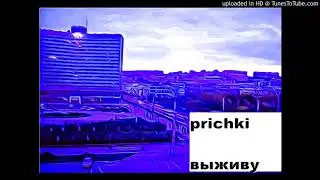 prichki - выживу ( / post-punk / shoegaze )