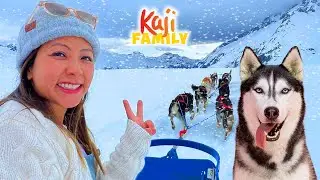 Let's Go Dog Sledding in Alaska!!