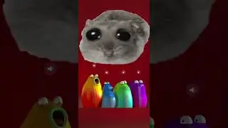 Sad Violin Hamster Meme - Blob Opera