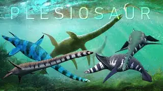 Plesiosaurs, long neck/short head