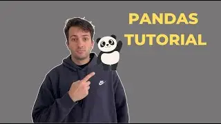 Ultimate Guide to Pandas for Data Beginners 2024