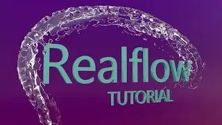 Tutorial Realflow en Español 2020 - Seguir un trazado