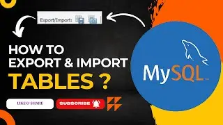 How to Export and Import Tables in MySQL | 2024 | 