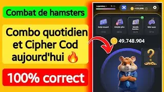 23-24 Ağustos Hamster Kombat Günlük Kombo ve Günlük Şifre Kodu Bugün 🔥