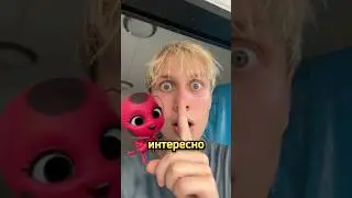 МЫ ПОЙМАЛИ РЕАЛЬНУЮ ТИККИ ИЗ ЛЕДИ БАГ #shorts