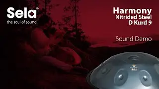 Sela SE 204 Harmony Handpan D Kurd Steel