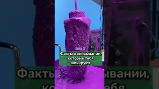ФАКТЫ, КОТОРЫЕ ТЕБЯ УДИВЯТ