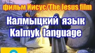 Фильм 